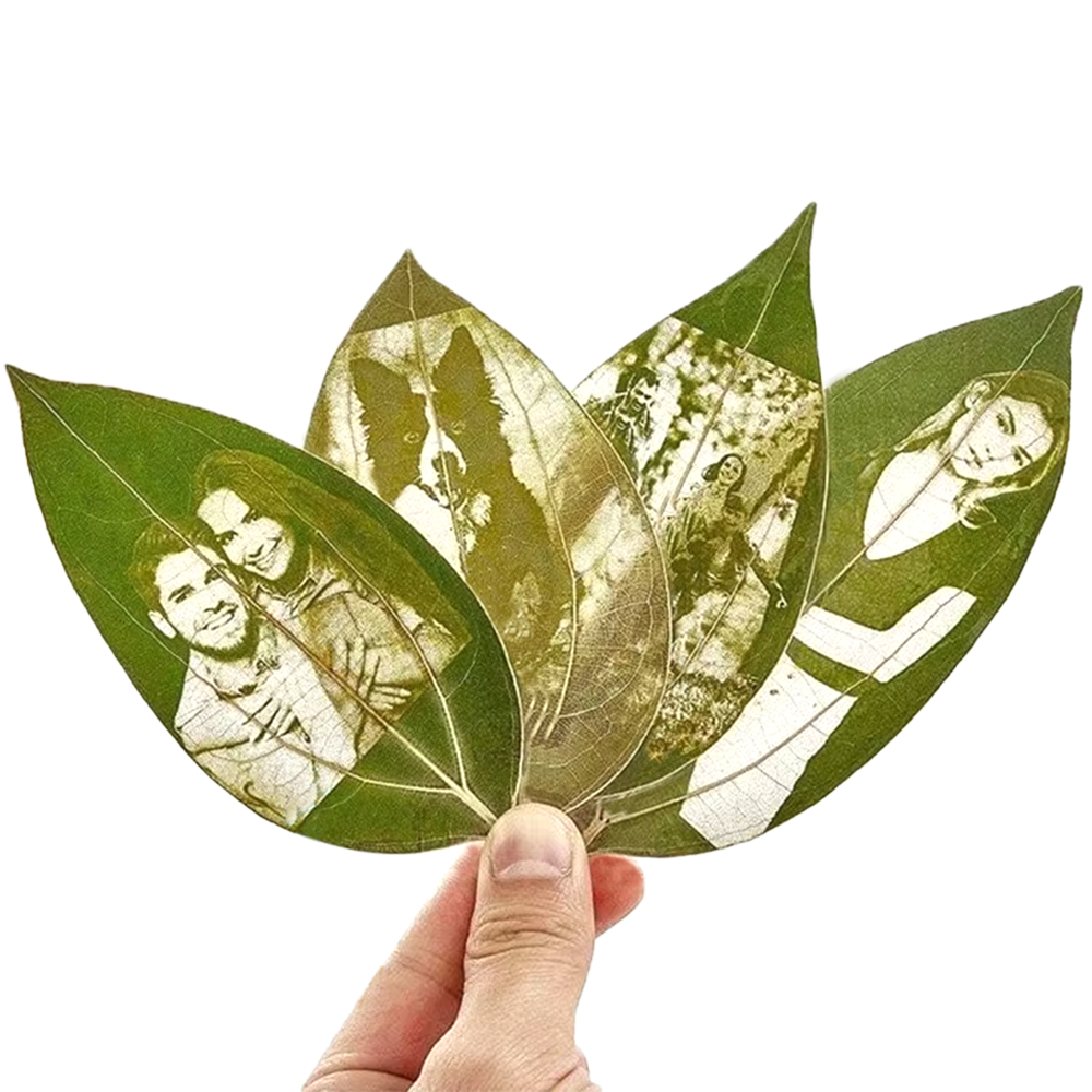 Industrial Laser Technology - DIY leaves for laser engraving machine