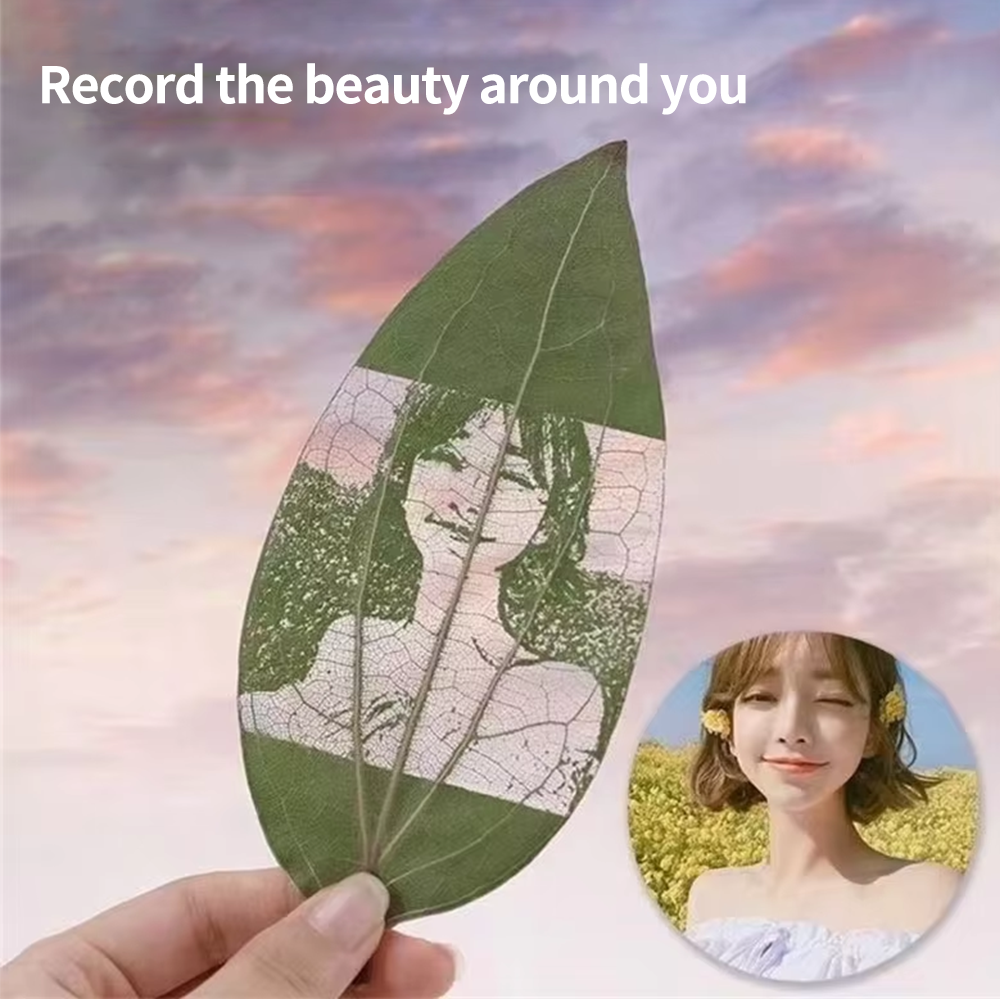DIY leaves for laser engraving - Industrial Laser Technology review and price